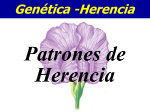 Chapter 03 - Ecomundo Centro de Estudios