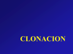 Aplicaciones de la clonación