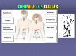 COMUNICACIÓN INTERCELULAR