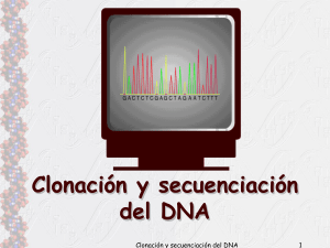 Clonación y secuenciación del DNA