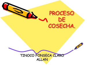 PROCESO DE COSECHA.