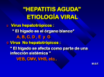 Hepatitis viral (power point)