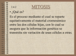 mitosis - LecturasdelBlog