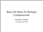 Bases De Datos En Biología Computacional