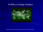 El ADN y el Código Genético