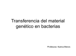 Transferencia del material genético en bacterias