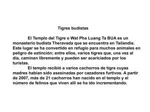 Tigres Budistas - BuenasCalificaciones.com