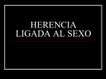 HERENCIA LIGADA AL SEXO