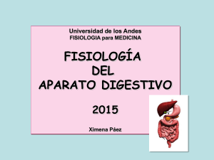 Diapositiva 1