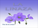 la Linaza