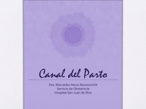 Canal del Parto - medicina
