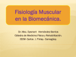 Fisiología Muscular y las leyes de la Biomecánica