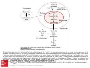 Slide 1 - Access Medicina - McGraw