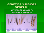 Genética_de_la_Producción_3c
