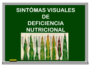 sintomas visuales de deficiencia nutricional