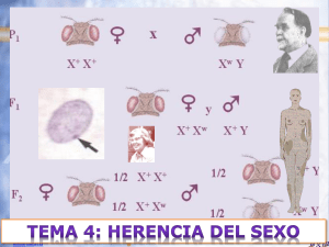 Tema 4: Herencia del sexo
