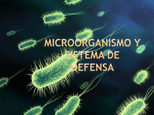 MICROORGANISMOS Y SISTEMAS DE