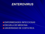 VIRUS ENTERICOS - medicina