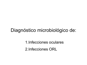 Tema 2: Diagnóstico microbiológico de: