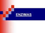 ENZIMAS (Tema 5