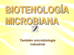 Biotecnología microbiana