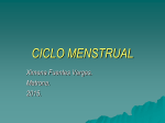 CICLO MENSTRUAL