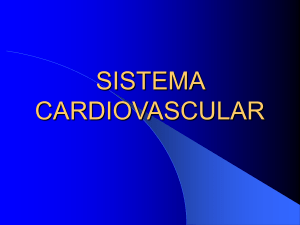 el pericardio y la topografía del corazón
