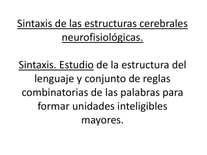 Sintaxis de las estructuras cerebrales neurofisiológicas. Sintaxis