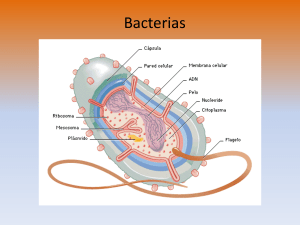 Diapositiva 1 - biologiacervantes