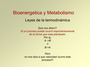Bioenergetica y Metabolismo