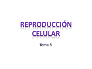 Pp. Reproducción celular
