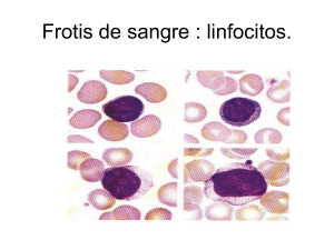 Linfocitos