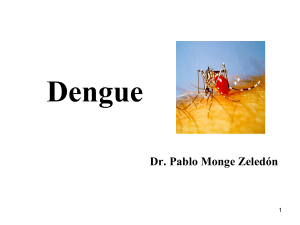 Presentación - medicina