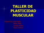 Plasticidad muscular.