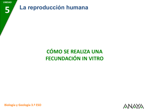 Cómo se realiza una fecundación in vitro