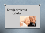 Envejecimiento celular
