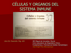 células y orgános del sistema inmune