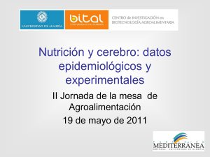 Nutrici&oacute;n y cerebro: datos epidemiol&oacute;gicos y experimentales