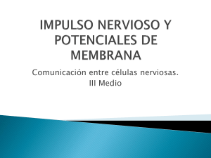 impulso nervioso y potenciales de membrana