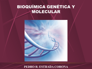 pedro r. estrada corona - Facultad de Medicina de la UCLA
