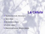 La Célula. - WordPress.com