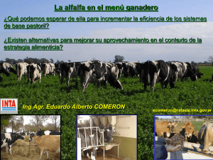 Sin t&iacute;tulo de diapositiva