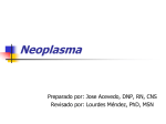 EDP_Clase 3 Neoplasma