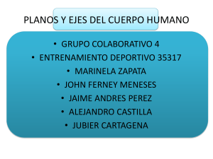 planosyejesdelcuerpohumano-110521170000