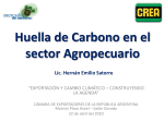 Lic. Hernán E. Satorre Tendencia - Huella de Carbono