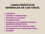 Generalidades de Virus