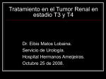 Tratamiento del Tumor Renal Avanzado.