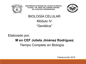 A qué se le llama LOCUS?