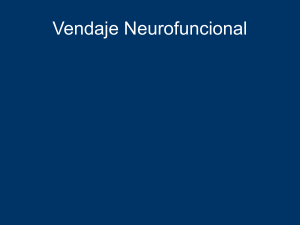 Curso Básico de la Técnica Neuromuscular