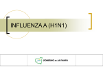 influenza a (h1n1)